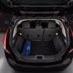 Ford Fiesta 2019 чорний вигляд ззаду
